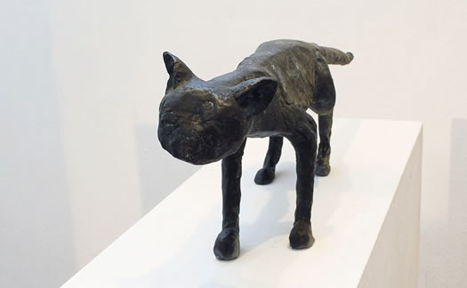 Peter Wittstadt / Katze